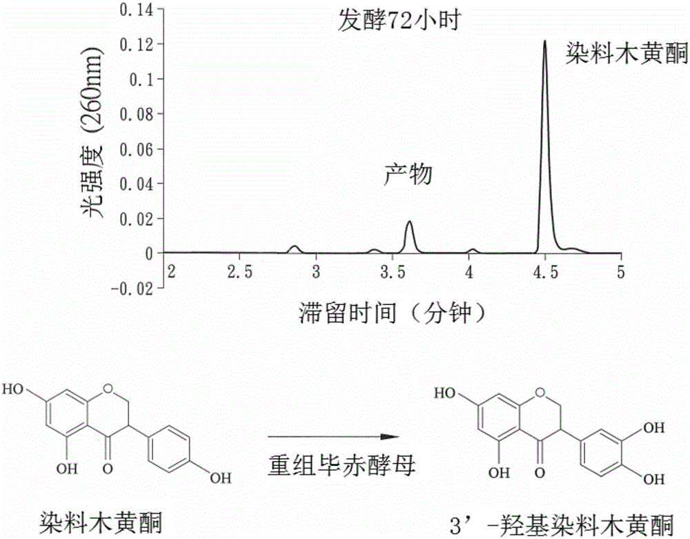 欧博注册流程